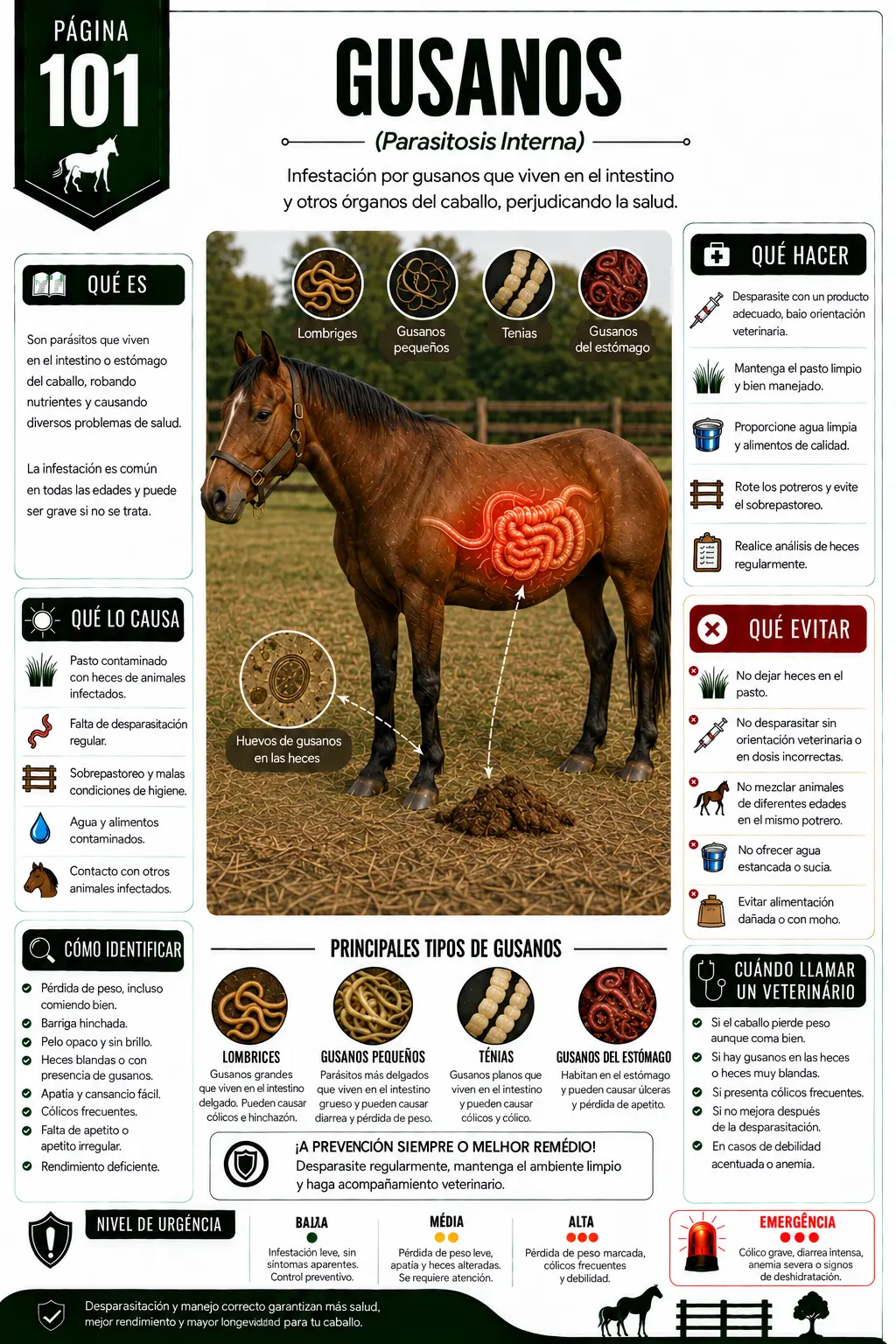 Página 101 - Parásitos Intestinales
