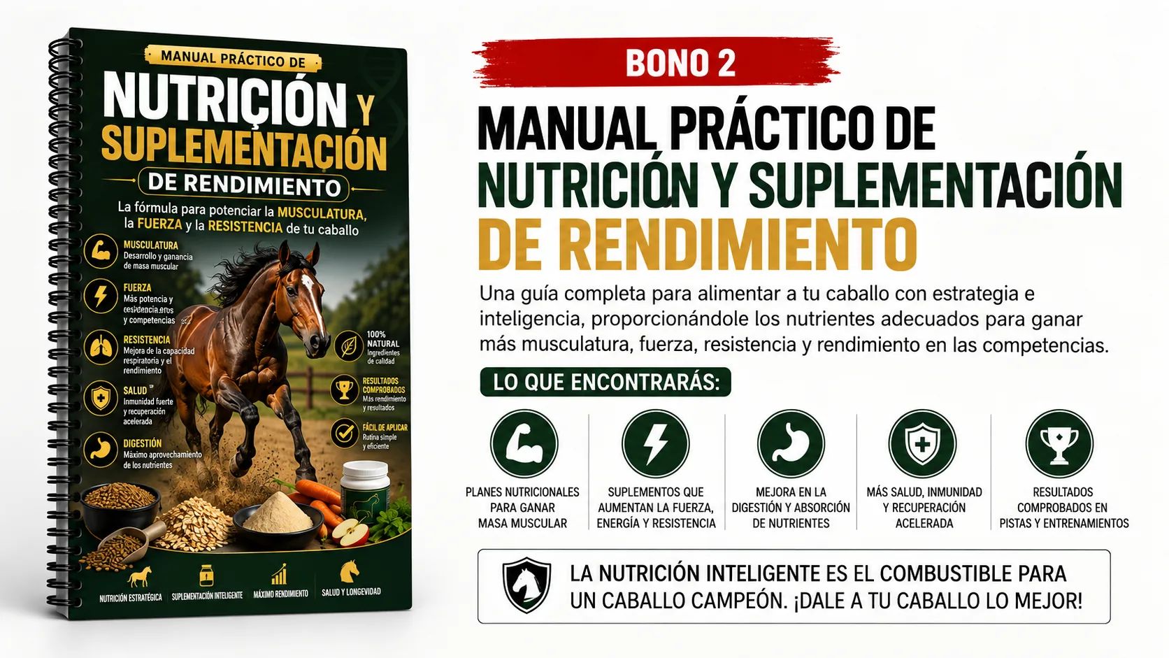 Bono 2 - Manual Práctico de Nutrición y Suplementación