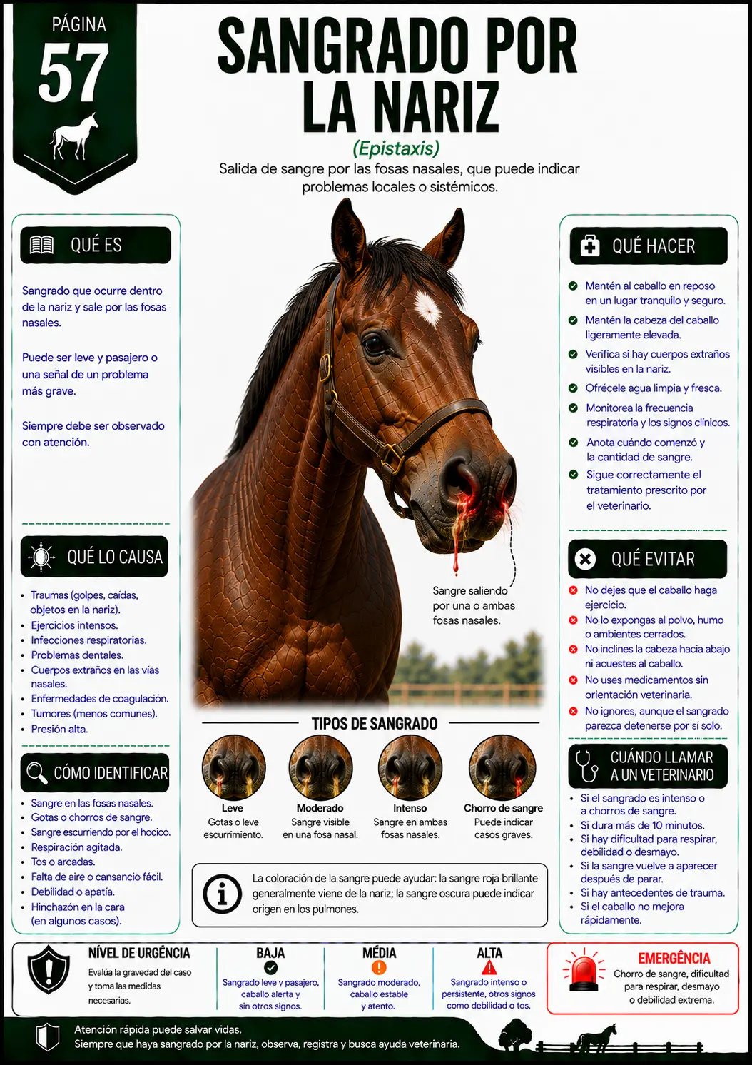 Página 57 - Sangrado Nasal