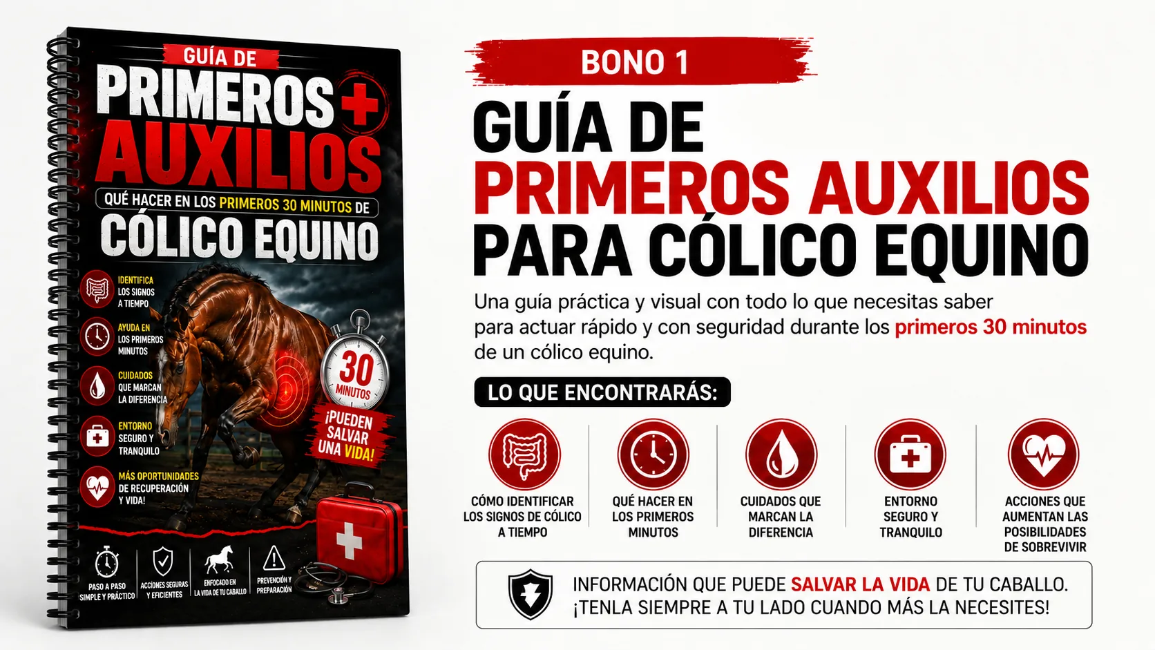 Bono 1 - Guía de Primeros Auxilios para Cólico Equino