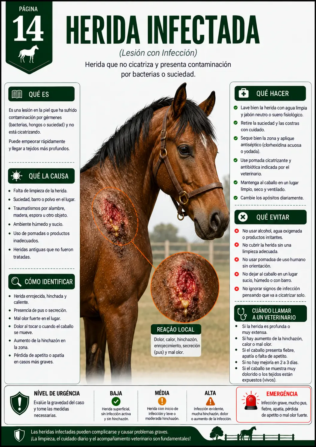 Página 14 - Herida Infectada