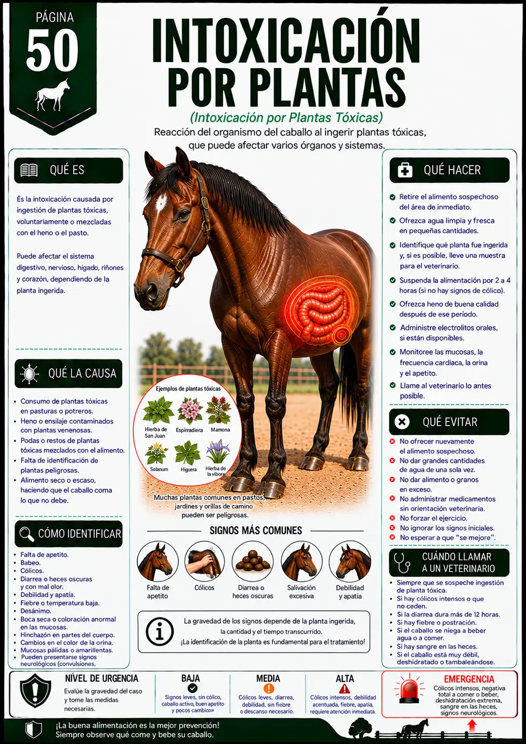 Página 50 - Intoxicación por Plantas